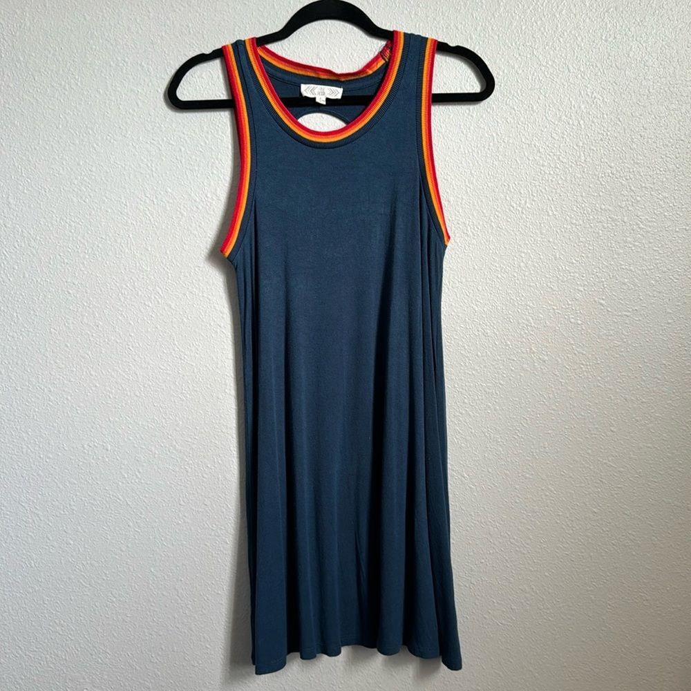 Small, Pink Rose dress, blue, multicolored stripes trim, T-shirt dress